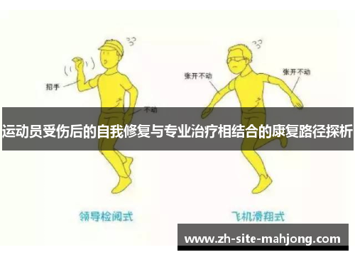 运动员受伤后的自我修复与专业治疗相结合的康复路径探析