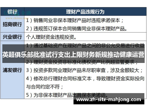 英超俱乐部批准试行支出上限财务新规推动健康运营