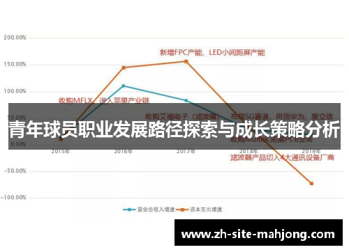 青年球员职业发展路径探索与成长策略分析 青年球员职业发展路径探索与成长策略分析